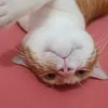mariltjrzfw