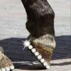 pascalemlld3