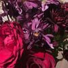 dina_nasser5035