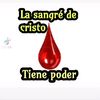 catiramaite.silva
