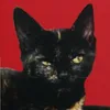 catcatbananaa