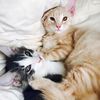 russ_and_sonny