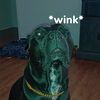 wait_wutlol