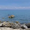 paborita10
