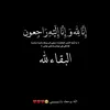 user4431587508744