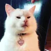 mochacoffeh