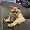kittyfridays_production