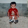 noel_16gr
