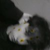 _alexis_2029_o