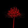 blackwateropera