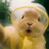 aiiiii_722