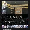 omnour6560