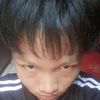 celoyrm