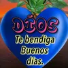 saraalcaraz25