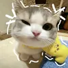 ma_cathyangblat