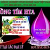 rng.vng.tm.hta