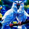 user863020834182raju