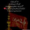 koh.e.suleman2