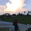 faaankceria