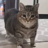 nathanfrancis47