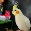 kevs_jay00