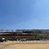 toa040855