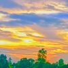rakib_1_45