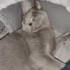 magdifr