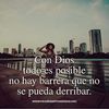 mariaflores6628