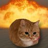 clvrblckcat18