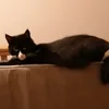 chloehayescoffee1