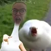 elbarelotni