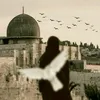 alaa_jhad0