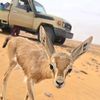 targu8la7j9o