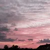 paul_loui