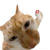bombalajuu_