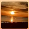 fifi.bousd23