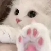 srm_althea
