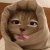 wyv.zen