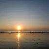 ngcvui83