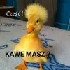 fruwaj