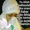alya09399