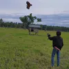_fan_fan013