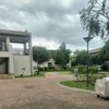 dorothym125