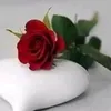 user2005970380488