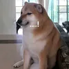 sờ ki bi di 👽