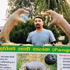pratap.paudel6