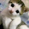 lilydongggggggg0