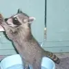 keirx.is.cool