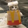 mcdoneeall